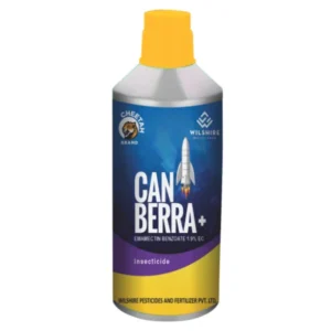 CANBERRA+