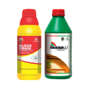 BLOCK CHAIN-41