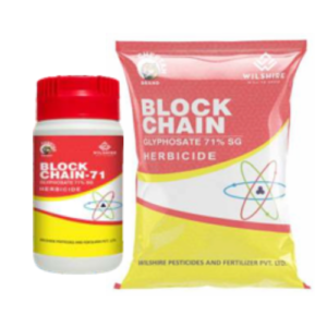 BLOCK CHAIN-71