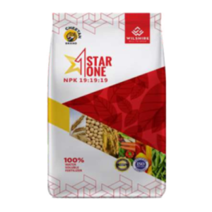 STAR ONE