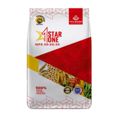 STAR ONE