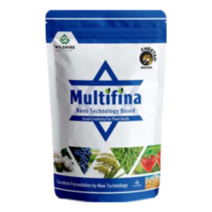 MULTIFINA