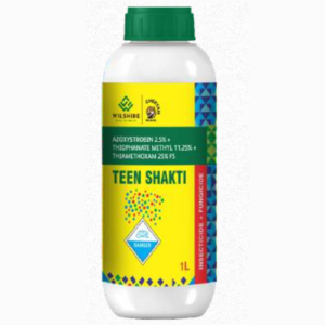 TEEN SHAKTI