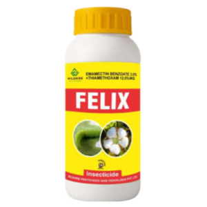 FELIX