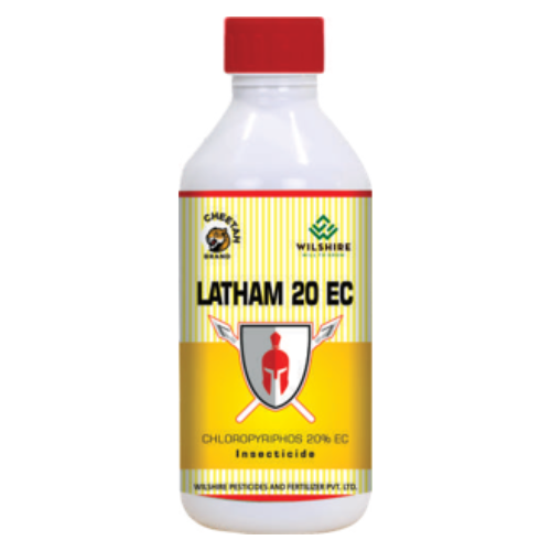LATHAM 20