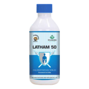 LATHAM 50