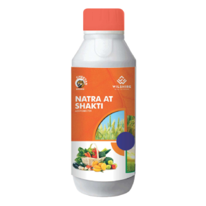 Natra AT Shakti