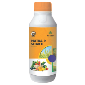 Natra R Shakti