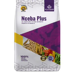 Nceba Plus