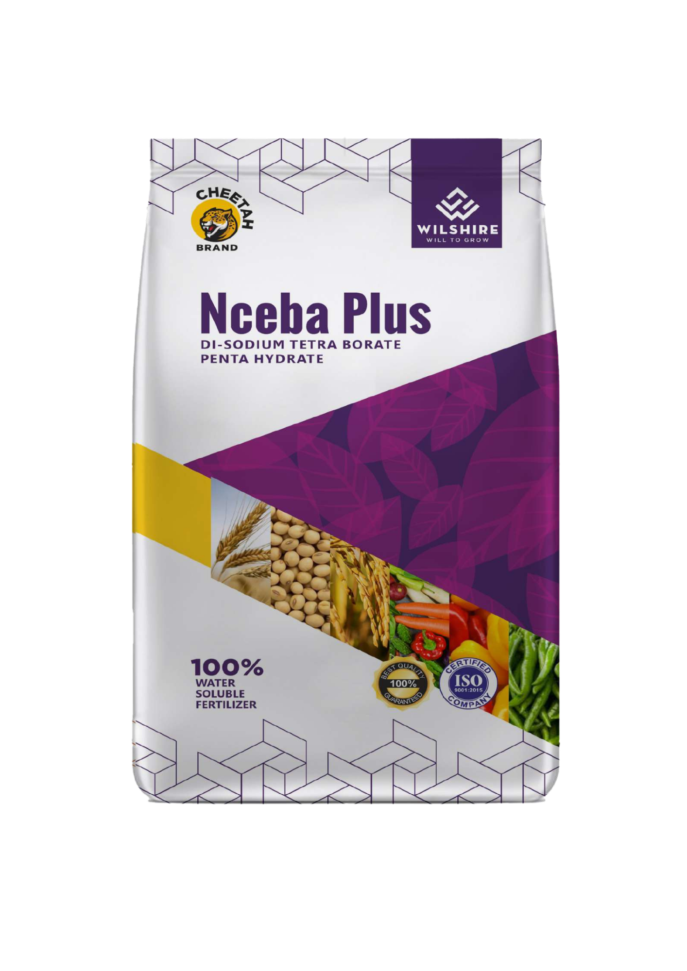 Nceba Plus