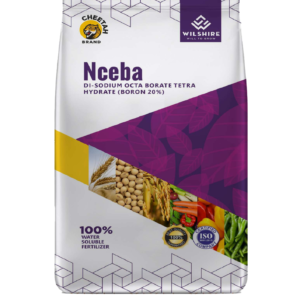Nceba