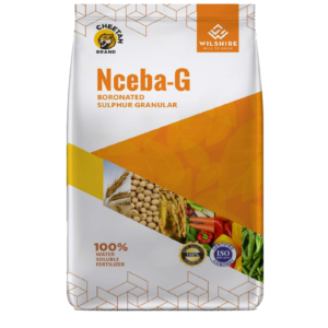 Nceba-G