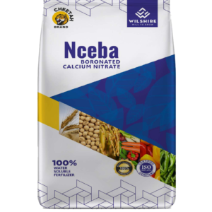 Nceba