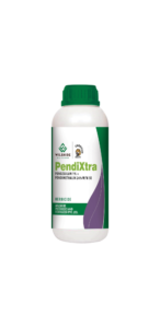 Pendixtra
