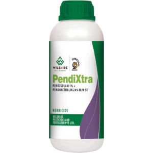 Pendixtra