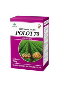 Polot 70