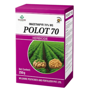 Polot 70