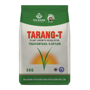 Trang-T