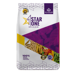Star One NPK (24.24.00)