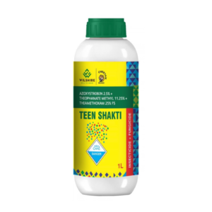 Teen Shakti
