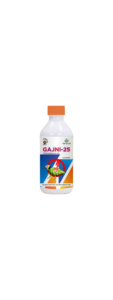 Gajni-25