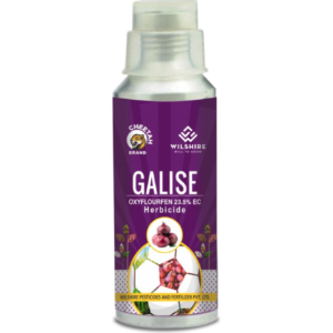 Galise