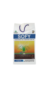 Sofy