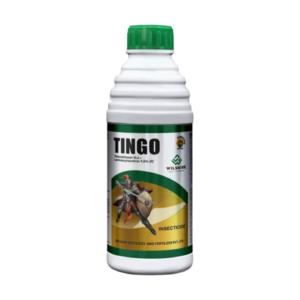 Tingo