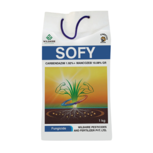 Sofy