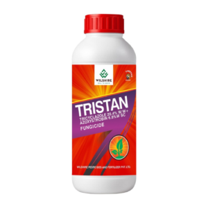 Tristan
