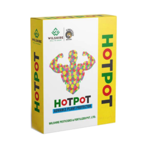Hotpot