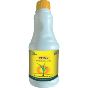 Vetul