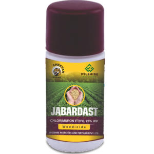 Jabardast