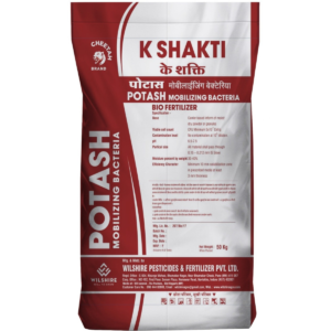 K Shakti
