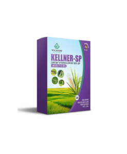 Kellner-SP
