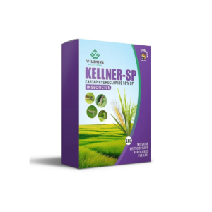 Kellner-SP