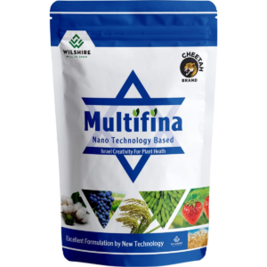 Multifina