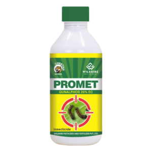 Promet