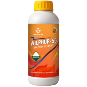 Wilphur-55