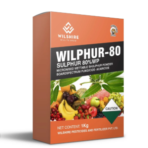 Wilphur-80