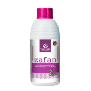 Zafan