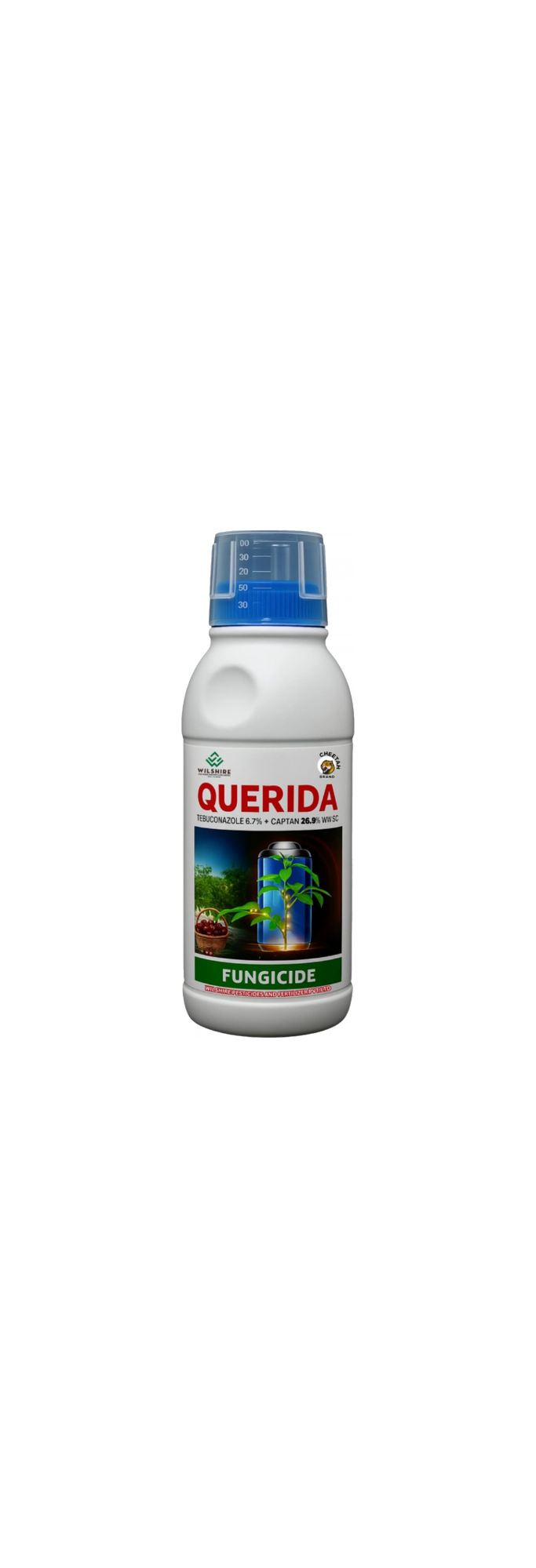 Querida