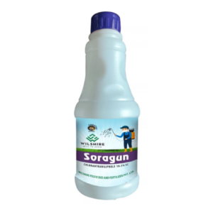 Soragun