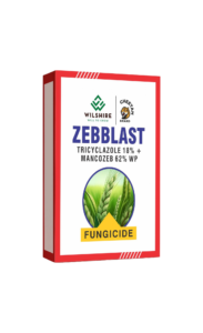 Zebblast