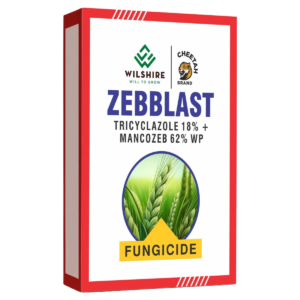 Zebblast