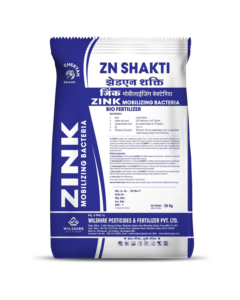 Zn-Shakti