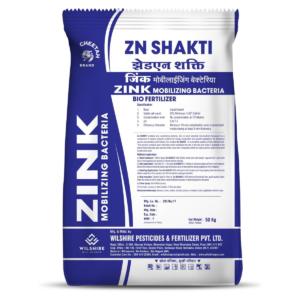 Zn-Shakti