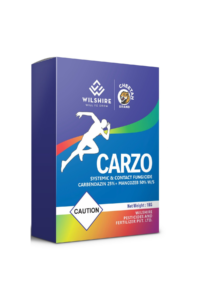 Carzo