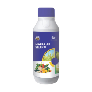 Natar AP Shakti