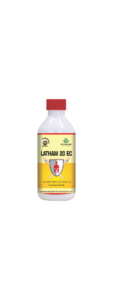 Latham-20